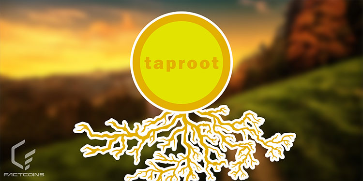 Taproot چیست؟ فناوری افزایش حریم خصوصی بیت کوین